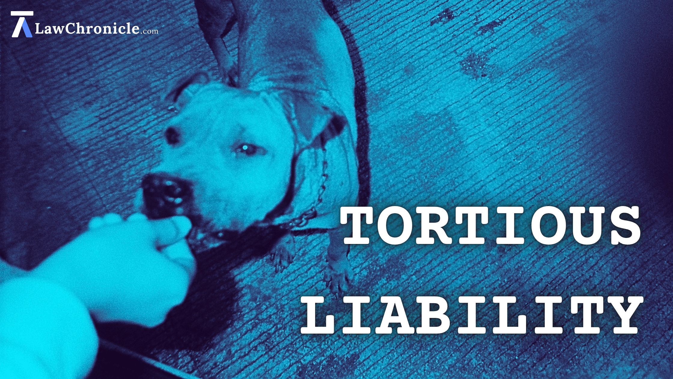 Tortious Liability after Supreme Court Judgment on Stray Dogs